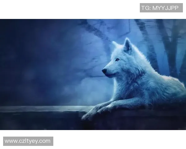 在天空与地面之间的较量鹰与猫的生存智慧与本能对决